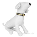 Klassisches Haustier Comfy verstellbarer Welpe Bone Hundekragen